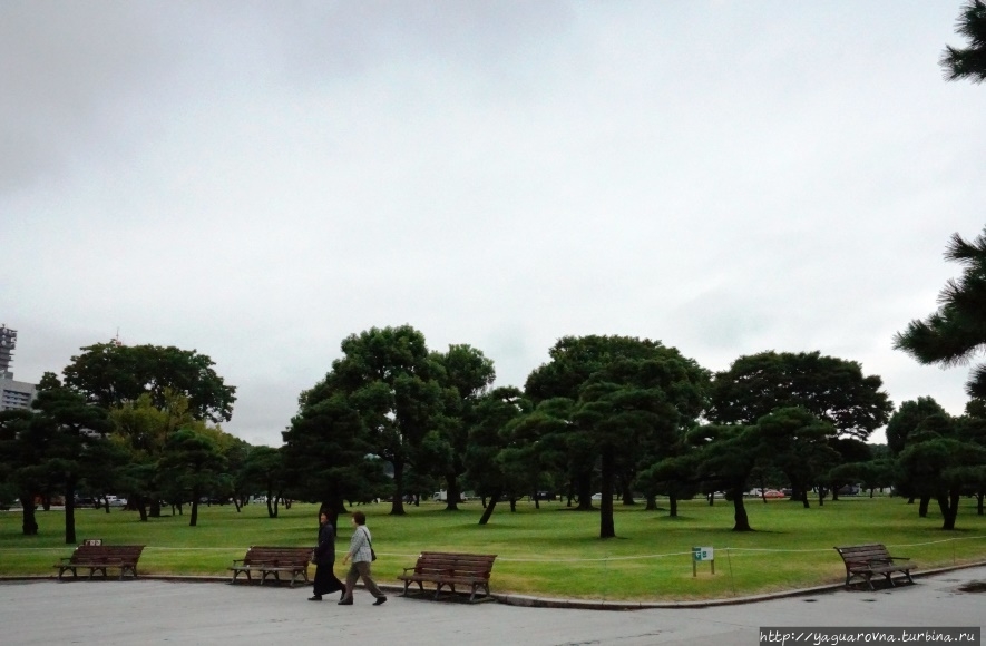 Парк около Императорского дворца Токио, Япония
