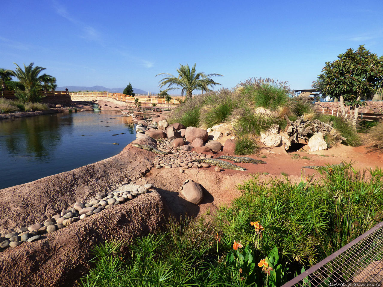 Крокопарк Агадир, Марокко