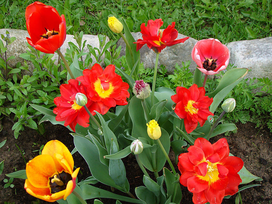 Девочки! Весна! Москва, Россия