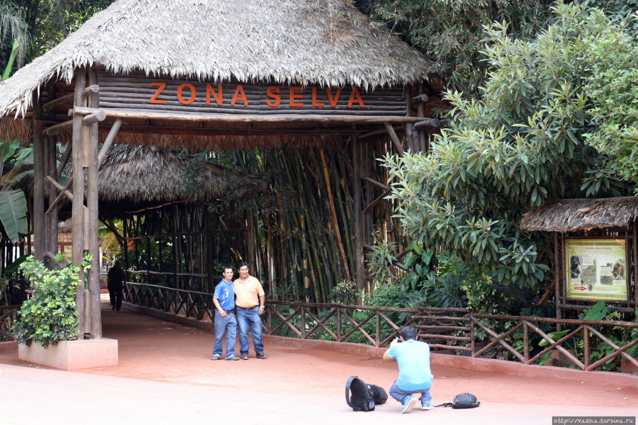 Зоопарк Лимы Лима, Перу