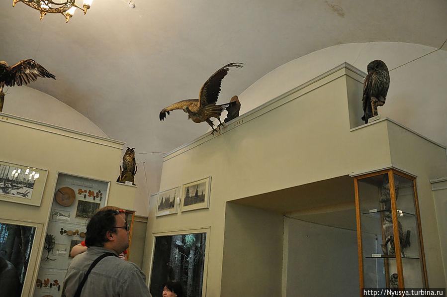 и все очень красивые.