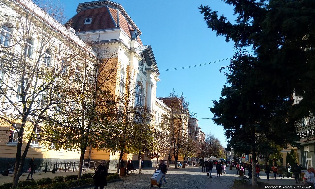 Новости закарпатья сегодня