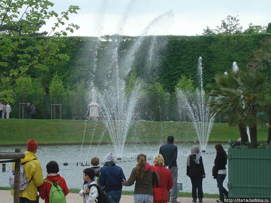 И такому рады