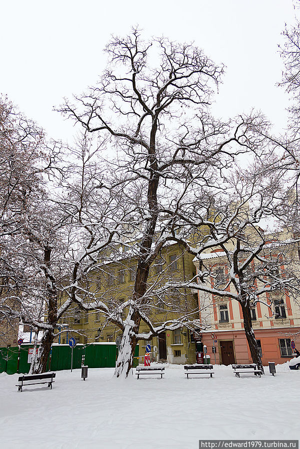 Старый город Прага, Чехия