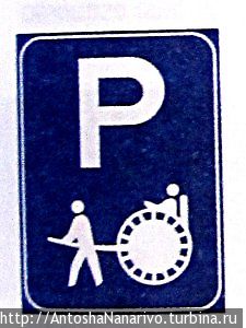 Носороги на дороге Мозамбик