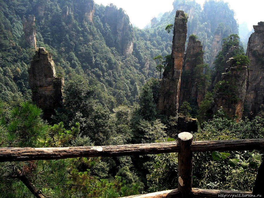 Такие стойкие и такие хрупкие, устремленные ввысь Тяньцзышань Чжанцзяцзе Национальный Лесной Парк (Парк Аватар), Китай