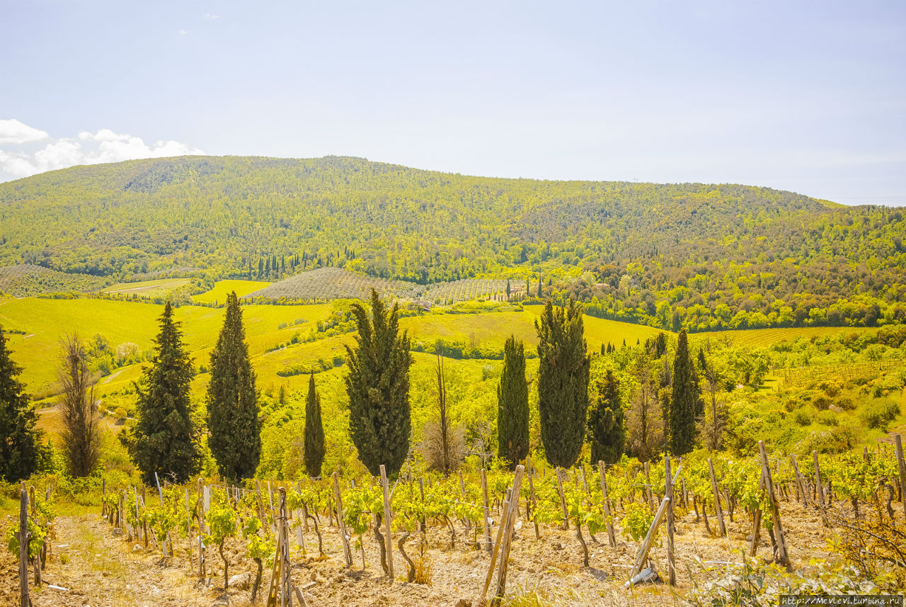 Окрестности San Gimignano Сан-Джиминьяно, Италия