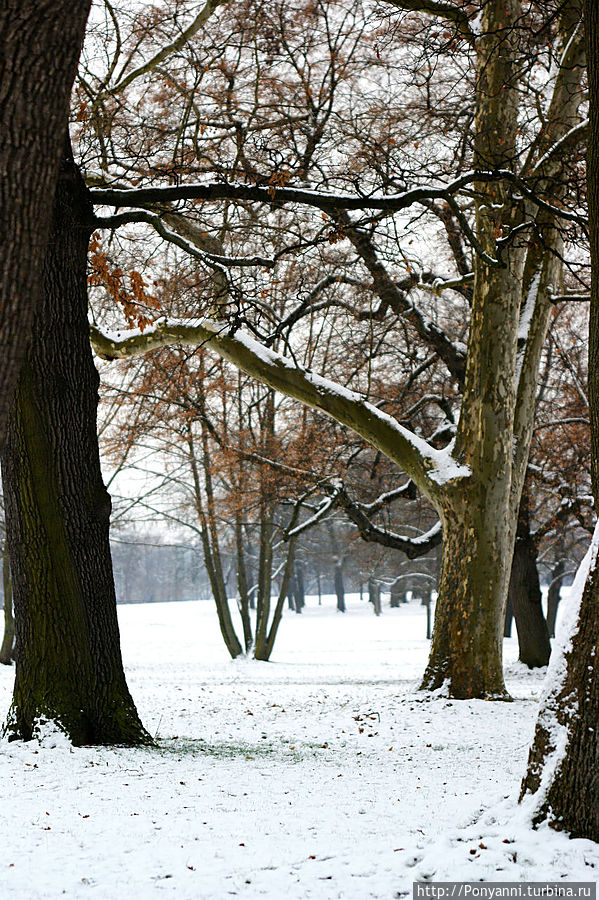Зимний парк Штутгарт, Германия