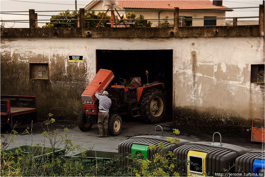 Сельское хозяйство. Трактор. Поргугалия. (Agriculture. Tractor. Portugal.) Виана-ду-Каштелу, Португалия