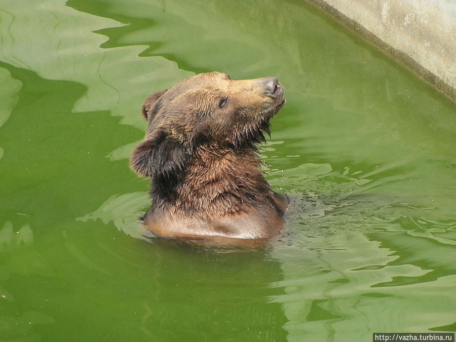 Зоопарк Гуанджоу Гуанчжоу, Китай