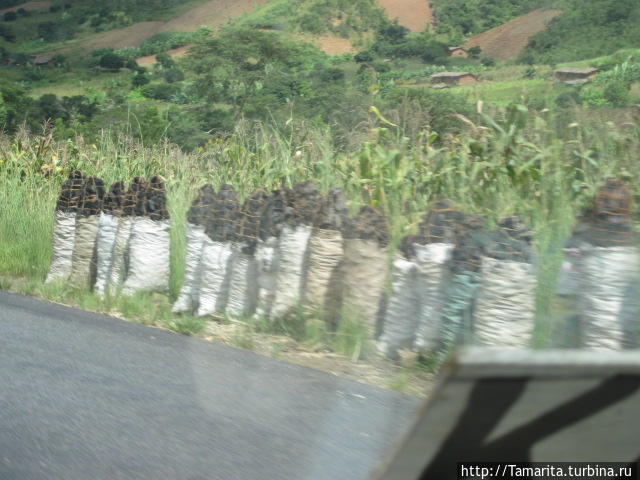 Африка без прикрас.  Беда на дороге Rumphi, Малави