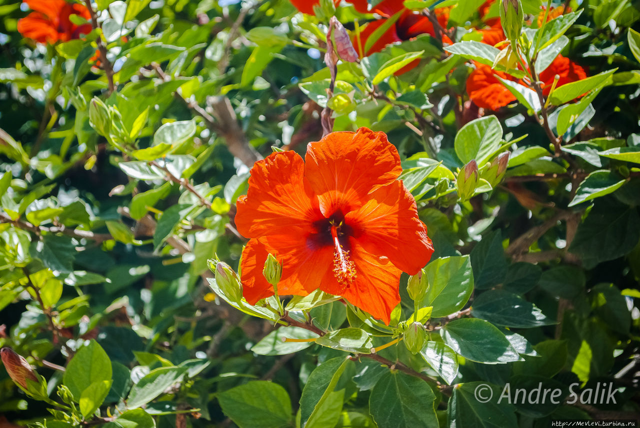 Август. Ситжес Ситжес, Испания