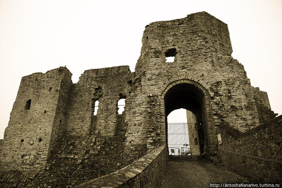 Замок Трим и окрестности Трим, Ирландия