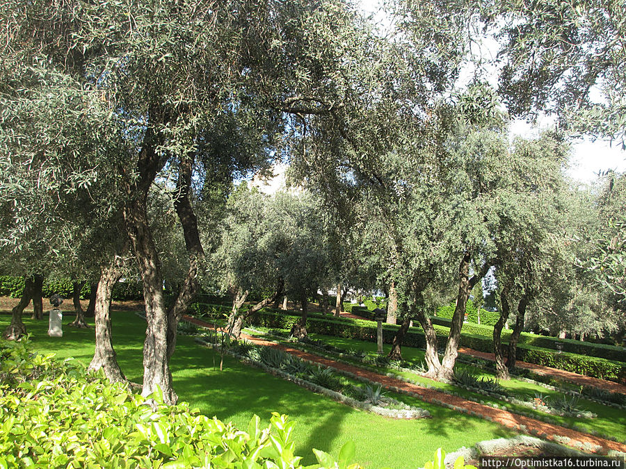 Бахайские сады. Вера Бахаи. Кто такой Баб и его Мавзолей Хайфа, Израиль