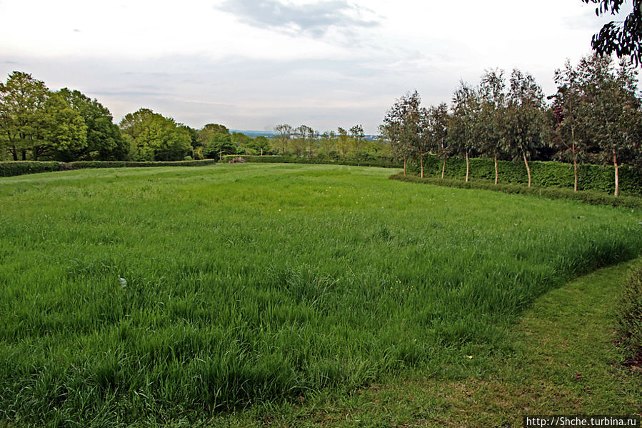 просто залянули — поле, как поле:)