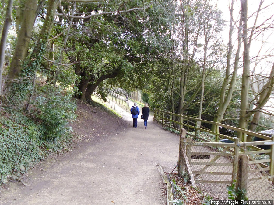 Пусть всегда будет март Вудсток, Великобритания