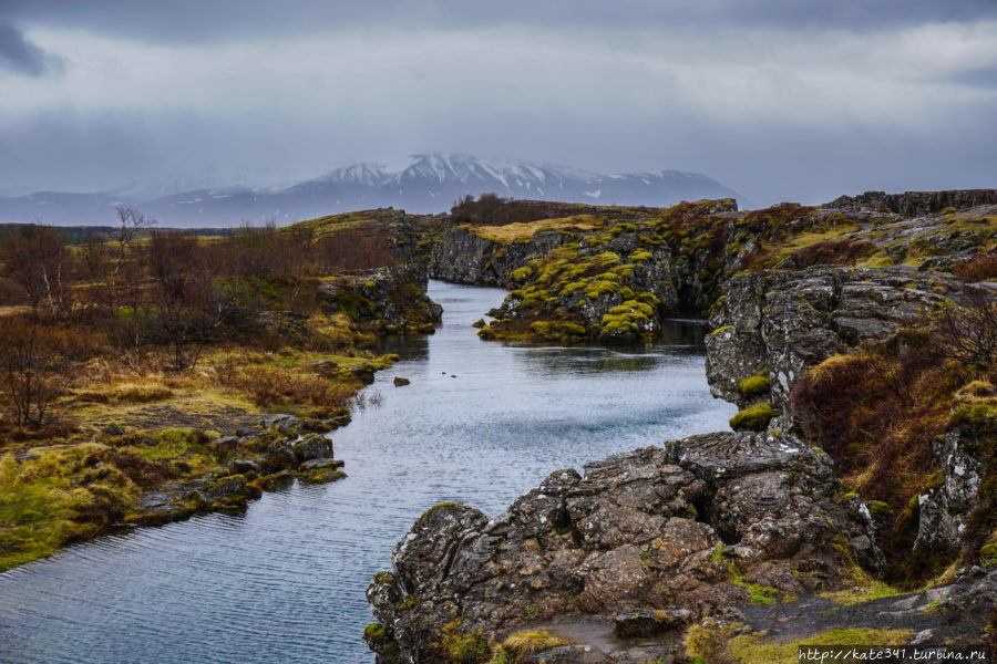 Внезапная Исландия. За рулем. Золотое кольцо Тингвеллир Национальный парк, Исландия