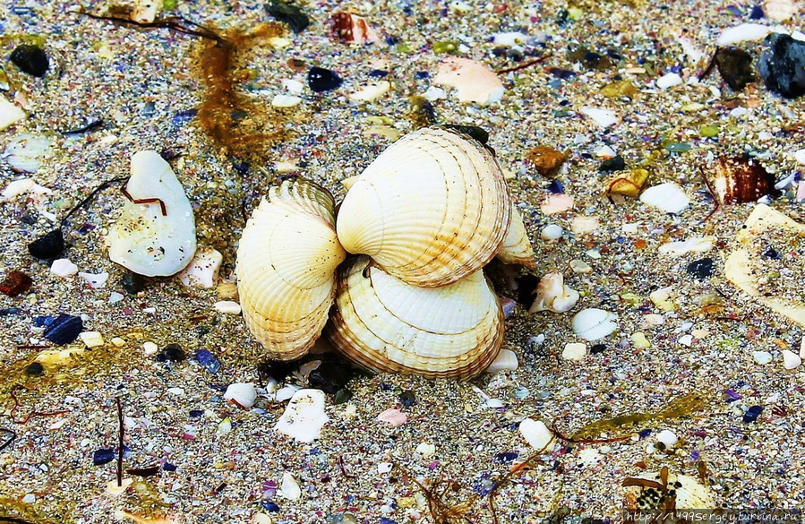 Лофотены. В поисках марсианских каналов Острова Лофотен, Норвегия