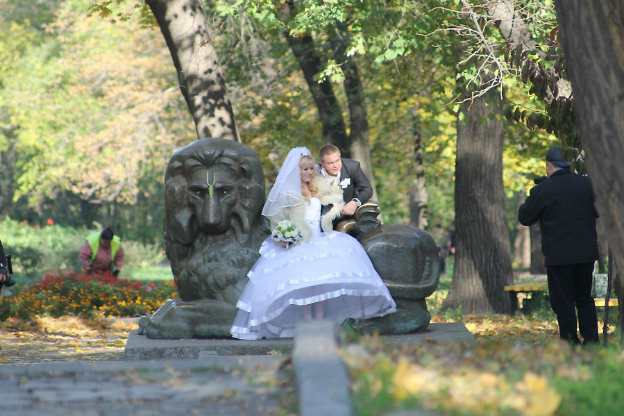 День свадеб в парке над рекой Днепр, Украина