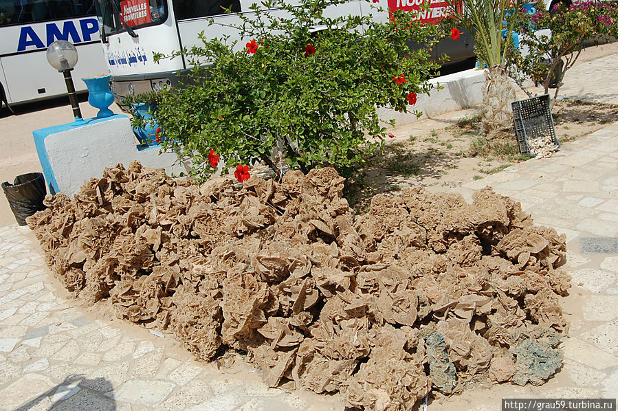 Придорожное кафе в пустыне Матмата, Тунис