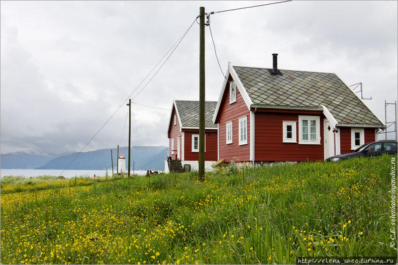 1. Дорога к маяку идёт мимо фермы и этих симпатичных домиков. Олесунн, Норвегия