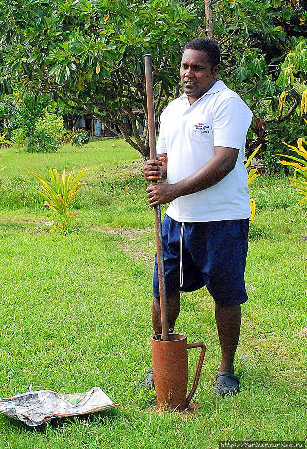 А перед замачиванием эти корни растираются в ступе Остров Дравака, Фиджи