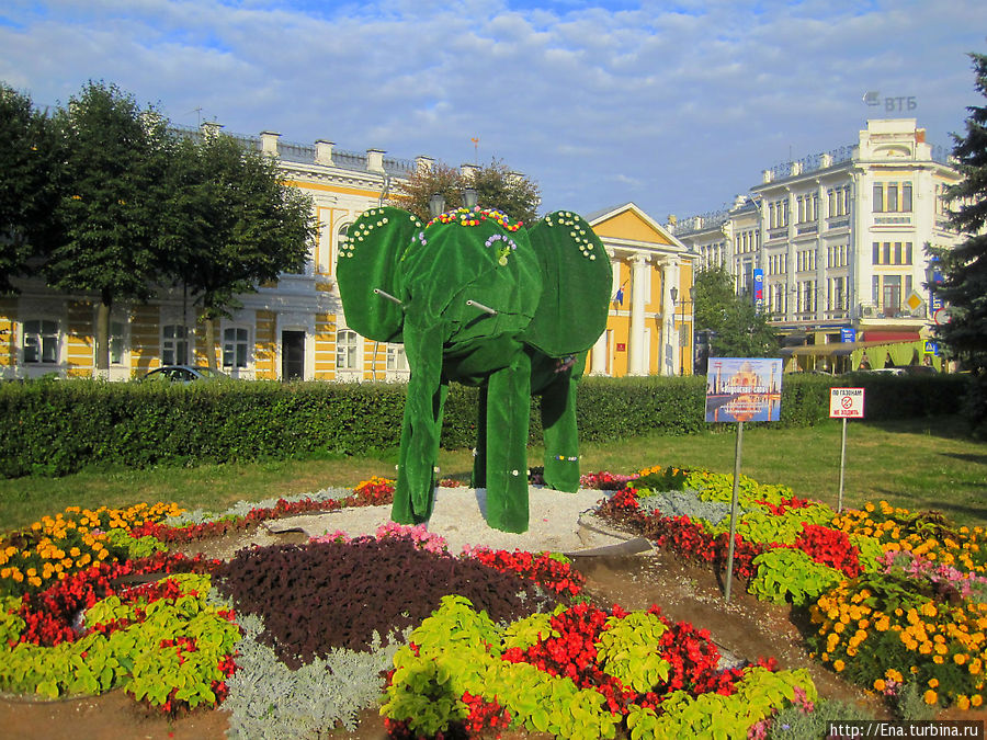 Индийский слоник Ярославль, Россия