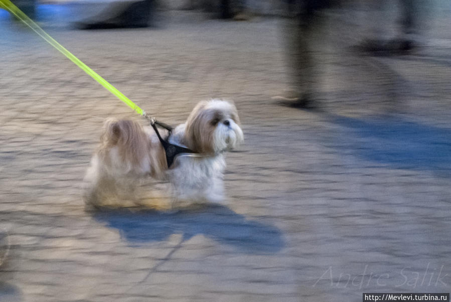 Рим вечерний Рим, Италия