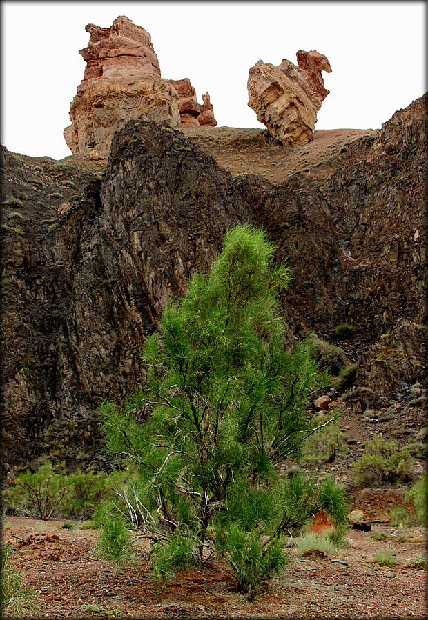 Обнаженная история Земли — каньон Чарын Чарынский Каньон Национальный Парк, Казахстан
