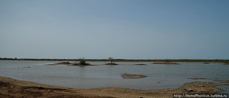Когда вокруг — одни бакланы Орнитологический заповедник Джудж, Сенегал