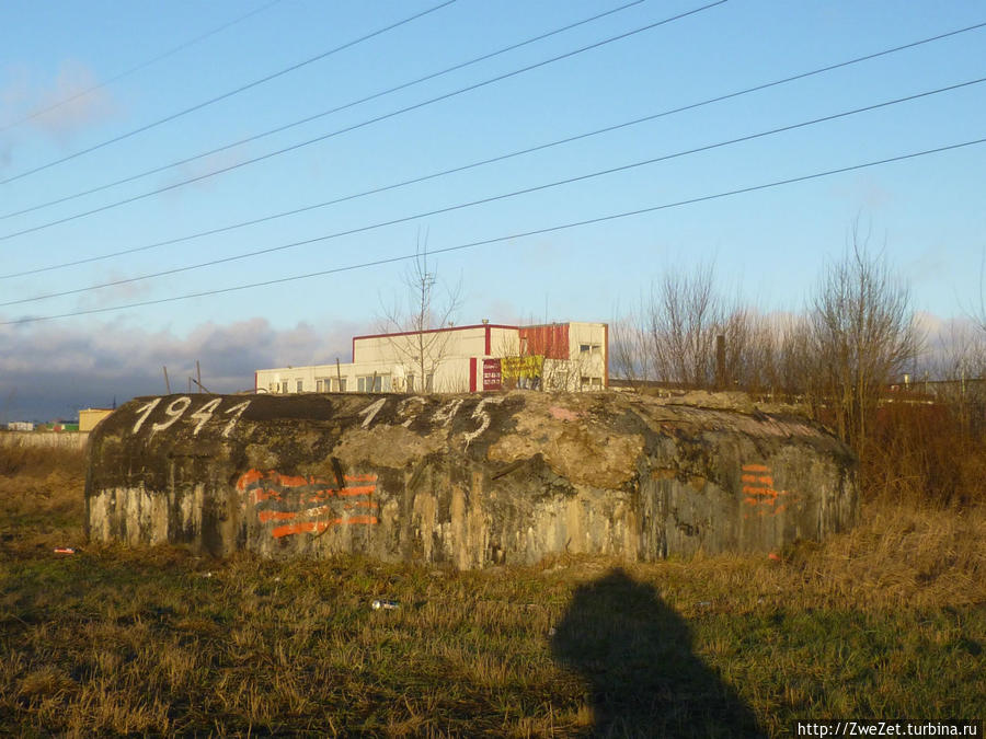 Я этим городом храним. Был город — фронт, была блокада Санкт-Петербург, Россия