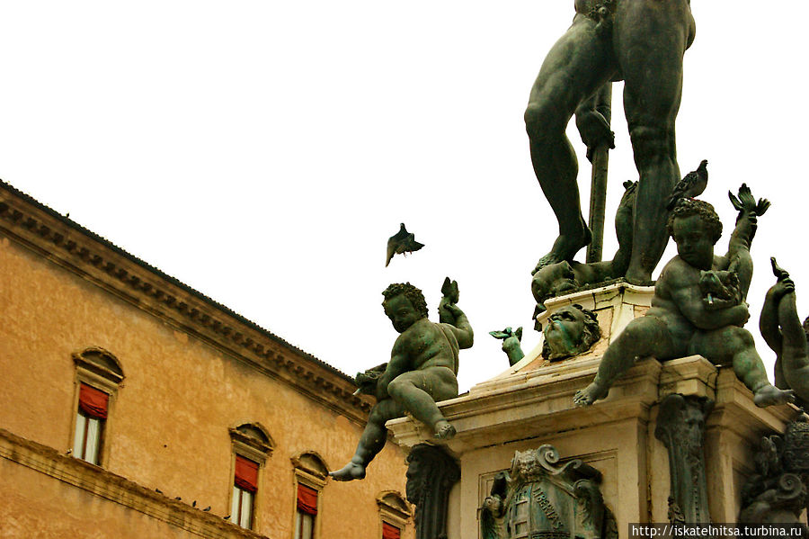 Голуби, как всегда, не дремлют