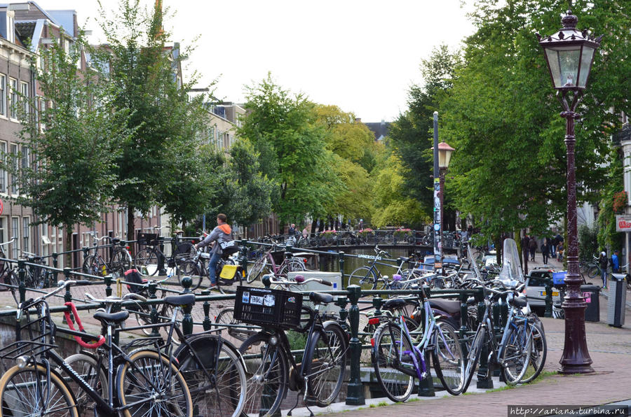 Велосипедики на отдыхе Амстердам, Нидерланды
