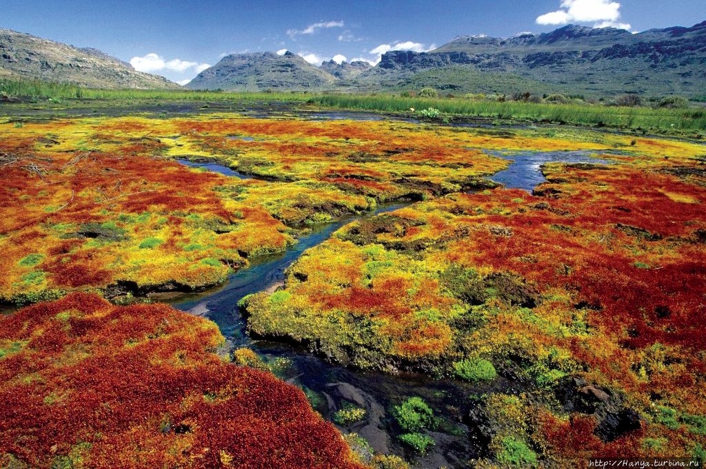 Из интернета