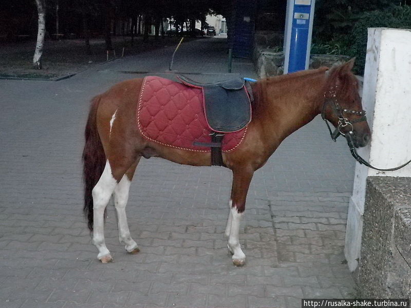 Короткая прогулка длинной осенью Ростов-на-Дону, Россия