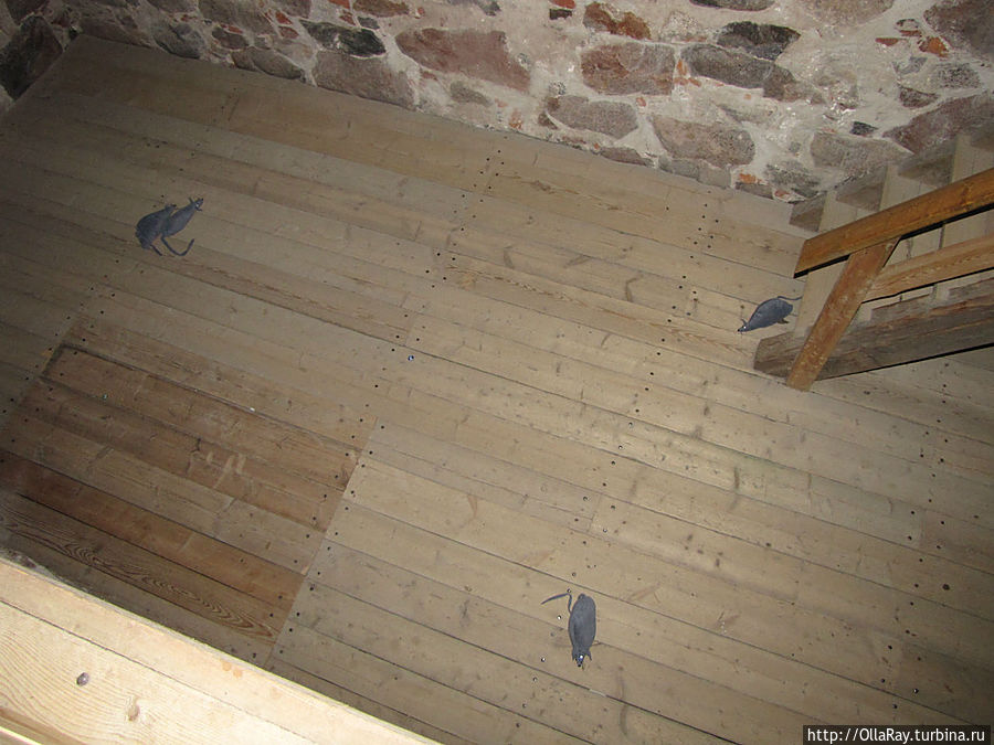 Имитация подвального помещения. Крысы искусственные. Турку, Финляндия