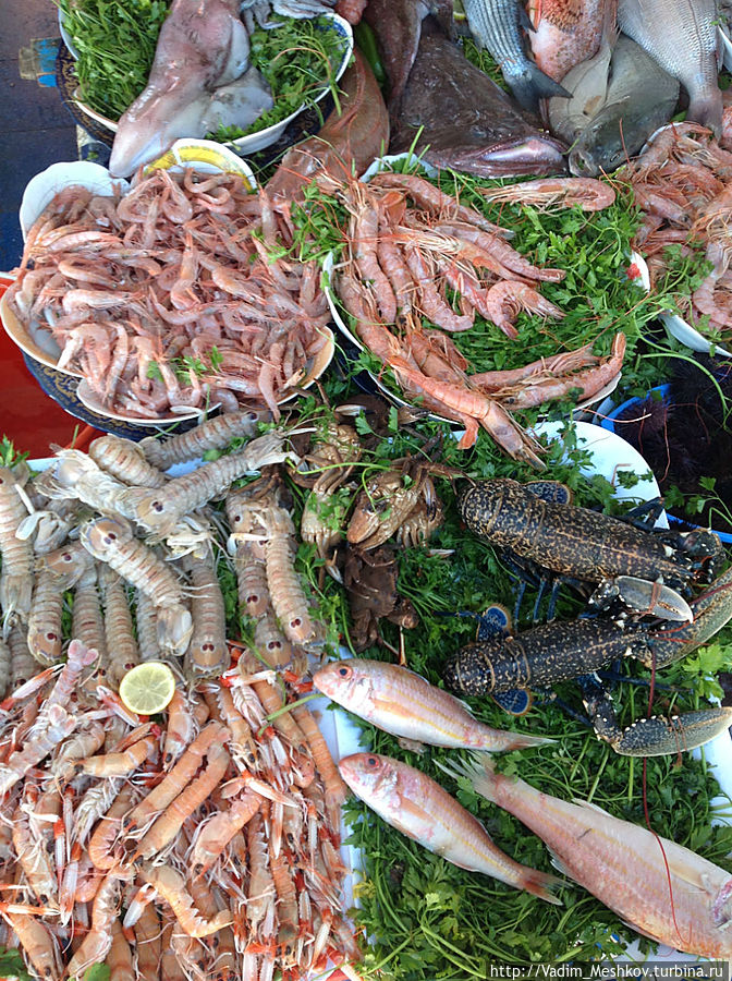 Морские деликатесы Эссуэйра, Марокко