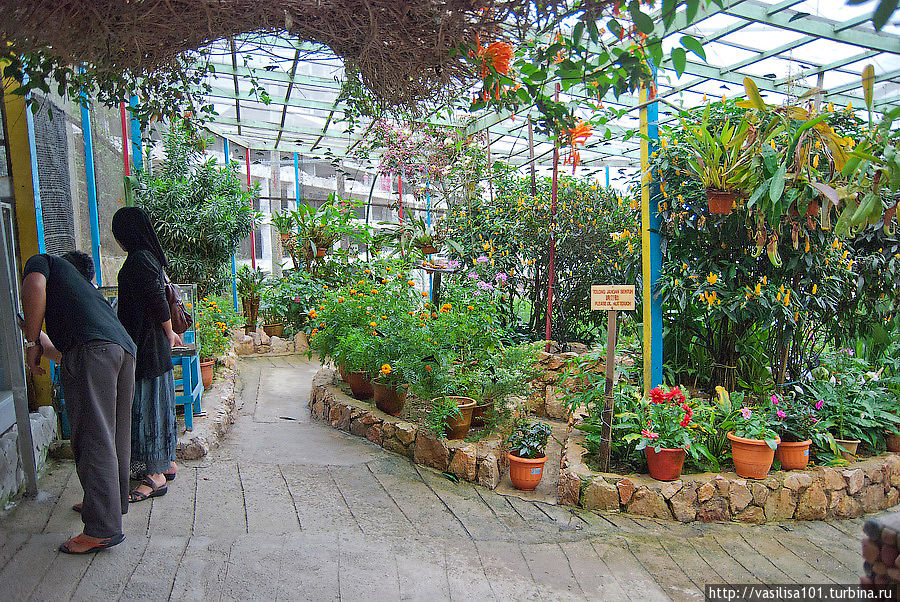 Сад бабочек Танах-Рата, Малайзия