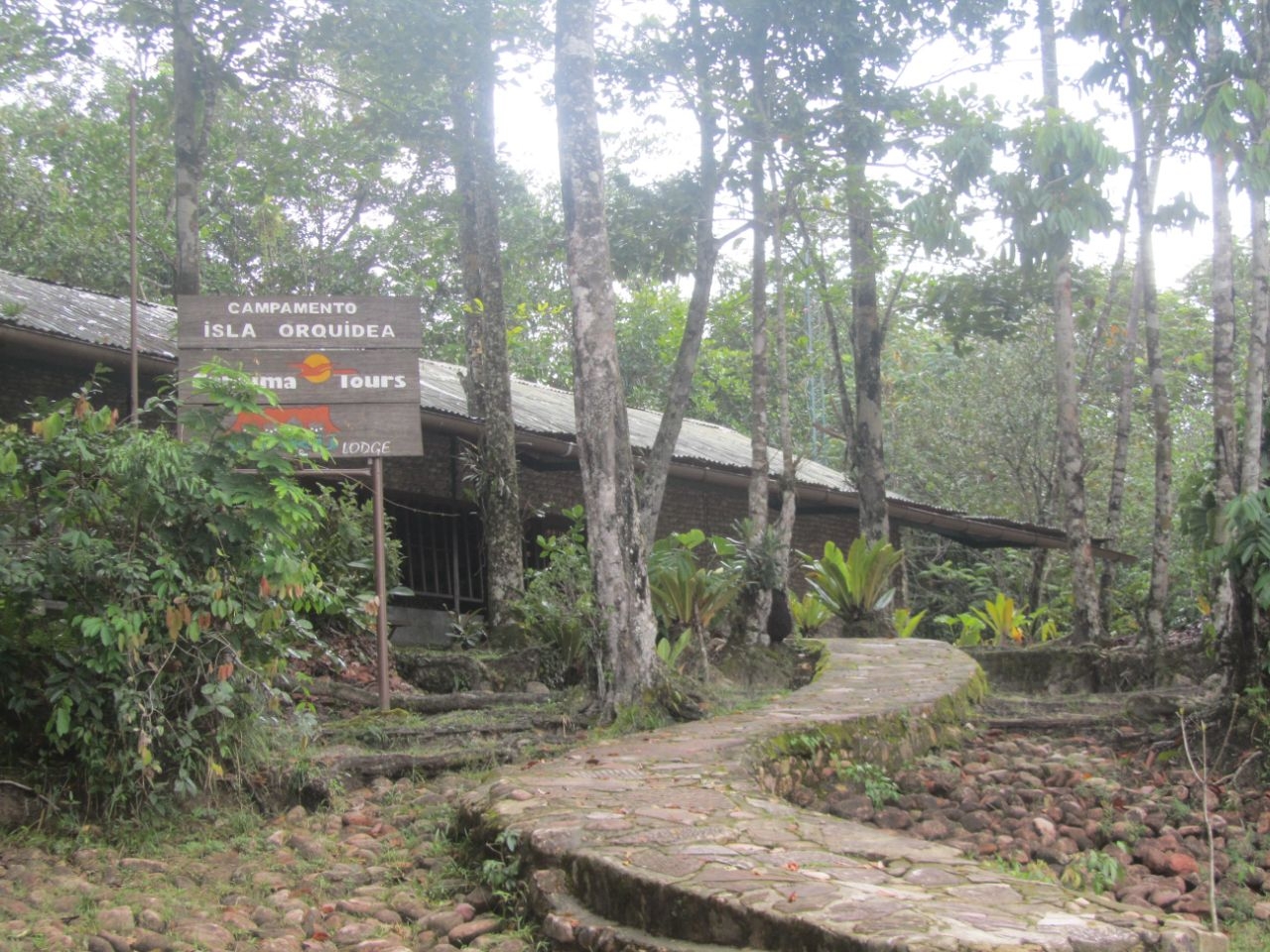 Остров Орхидей Национальный парк Канайма, Венесуэла