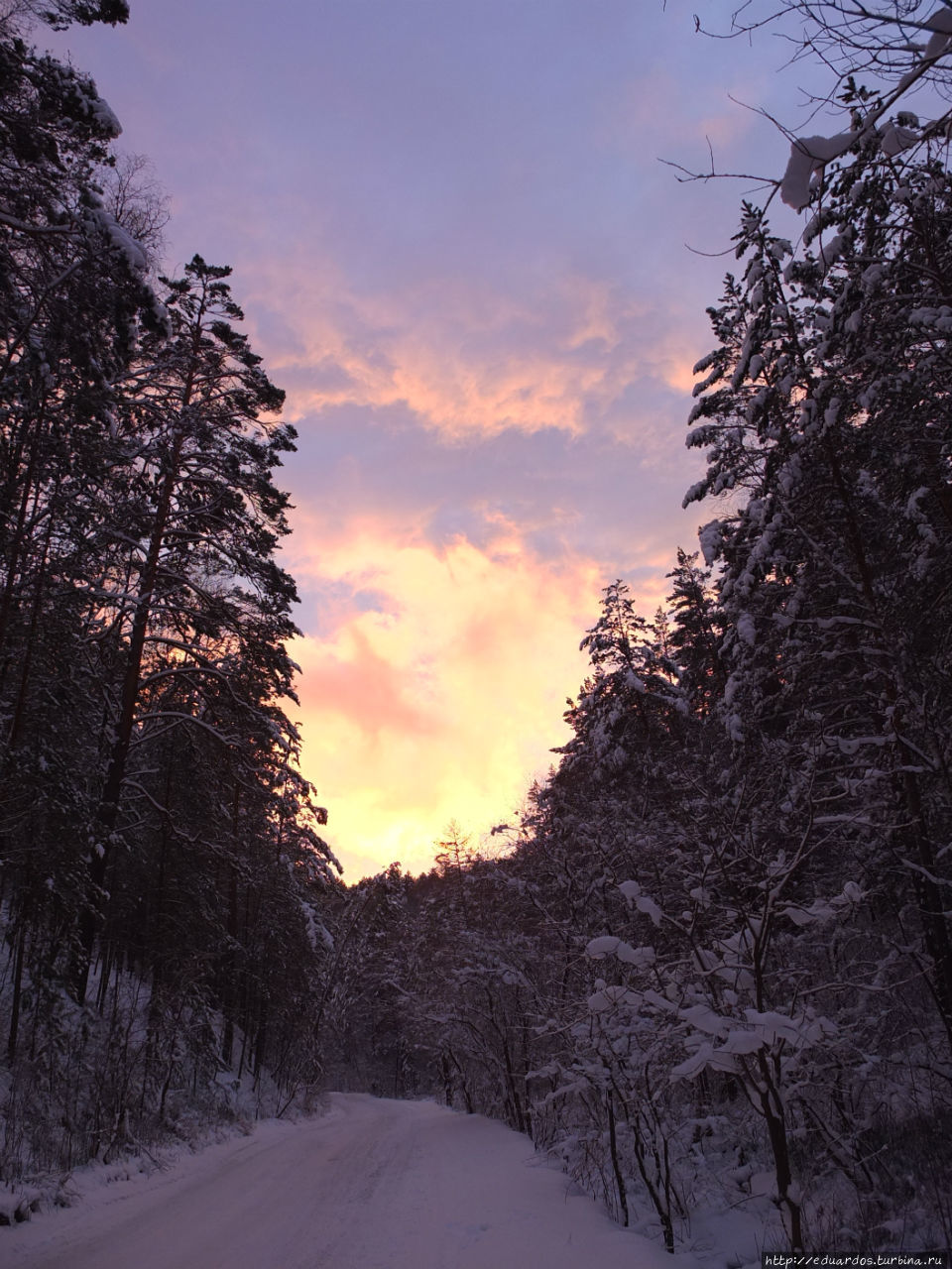 Закат в зимнем лесу Красноярск, Россия