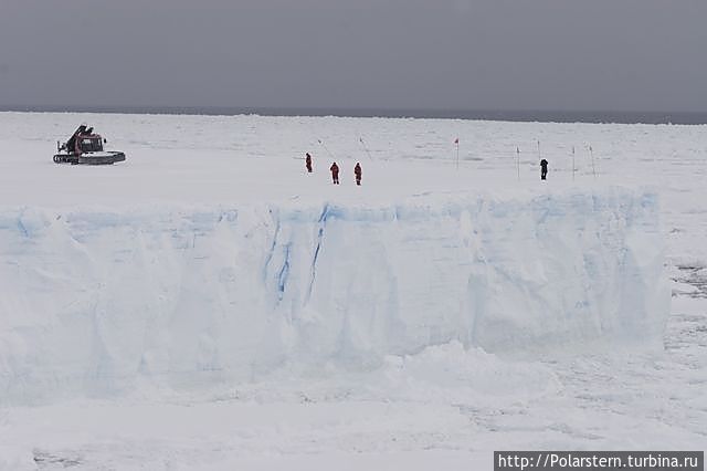 Антарктический шельфовый ледник в заливе Atka Атка Айспорт, Антарктида