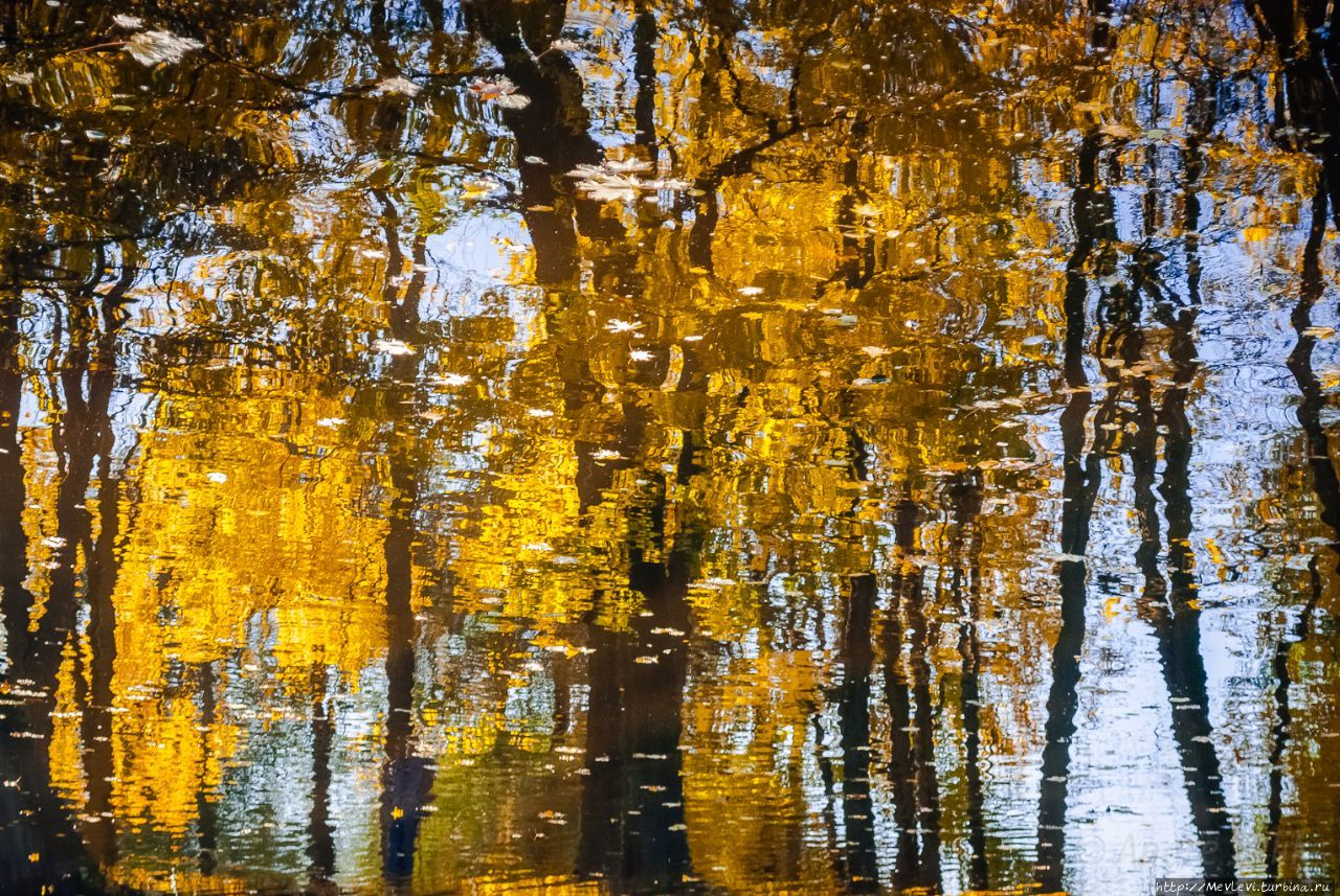 Осень в нашем парке Рига, Латвия