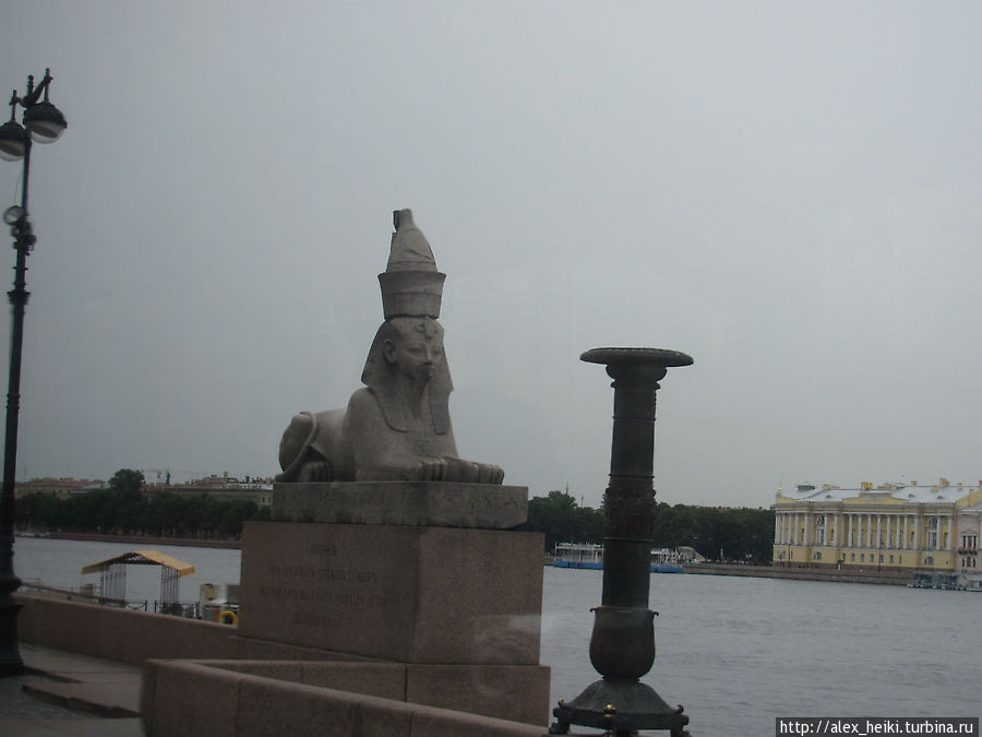 Сфинксы Санкт-Петербург, Россия