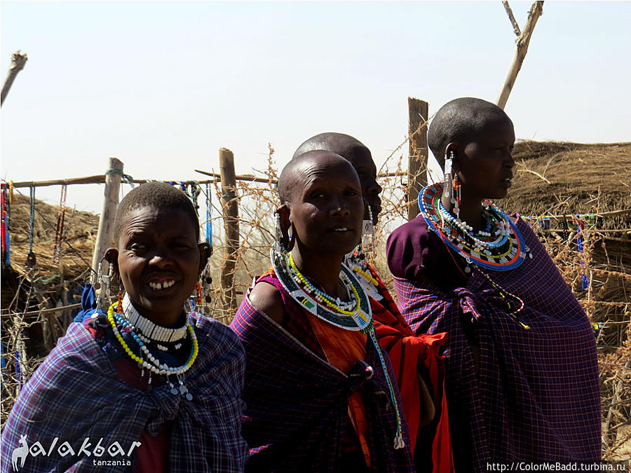Дамы по инерции все еще пели Танзания
