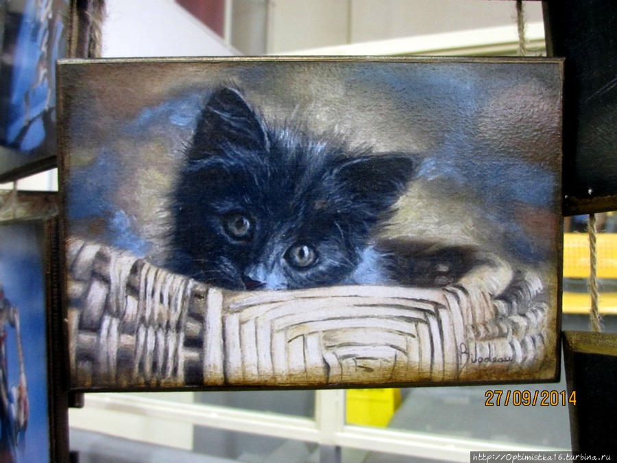 Картинки с выставки Хайфа, Израиль