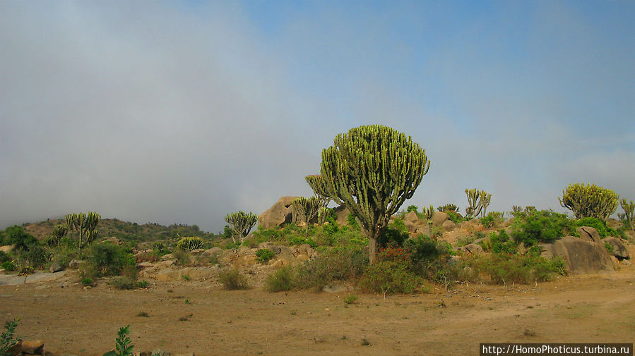 Долина Дегера Adi Keyh, Эритрея