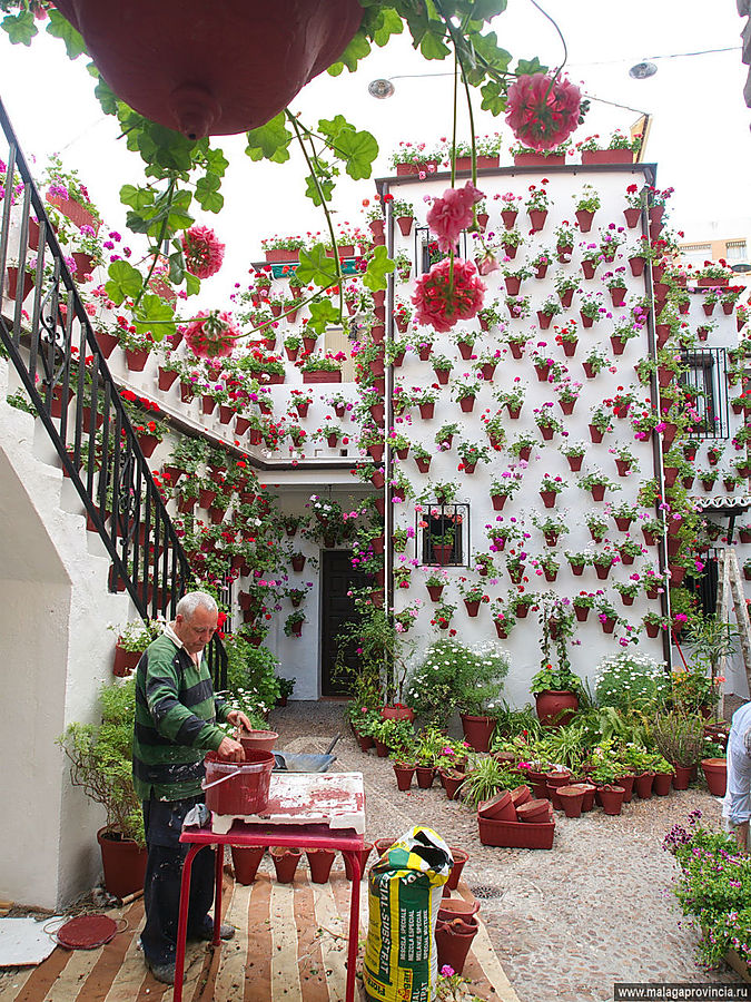 Знаменитые внутренние дворики Кордобы. Patios de Córdoba