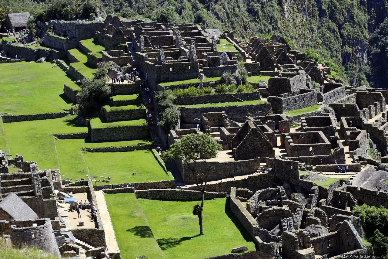 Одно из чудес света. Мачу-Пикчу Мачу-Пикчу, Перу