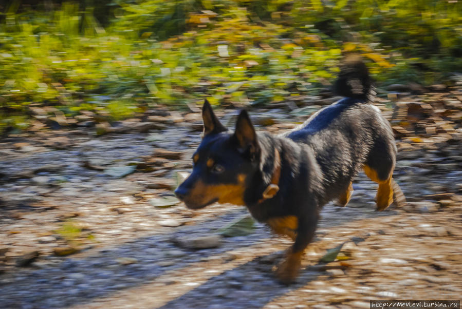 Озеро Слокас Кемери, Латвия