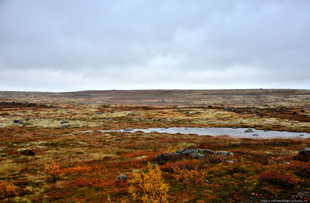 Посёлок Териберка Териберка, Россия